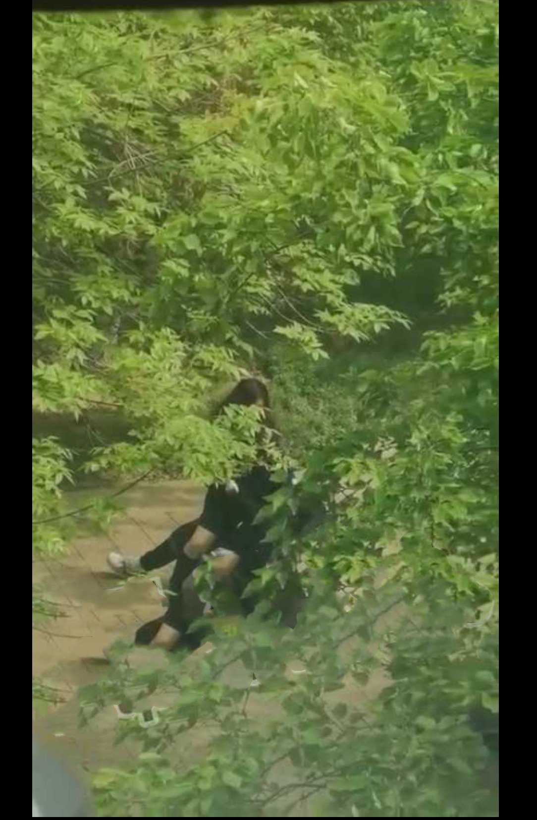 辽宁东北大学大姐大为了报复男友随机找了个男人在校园内做爱!并让姐妹录下视频发给男友! - 截图3