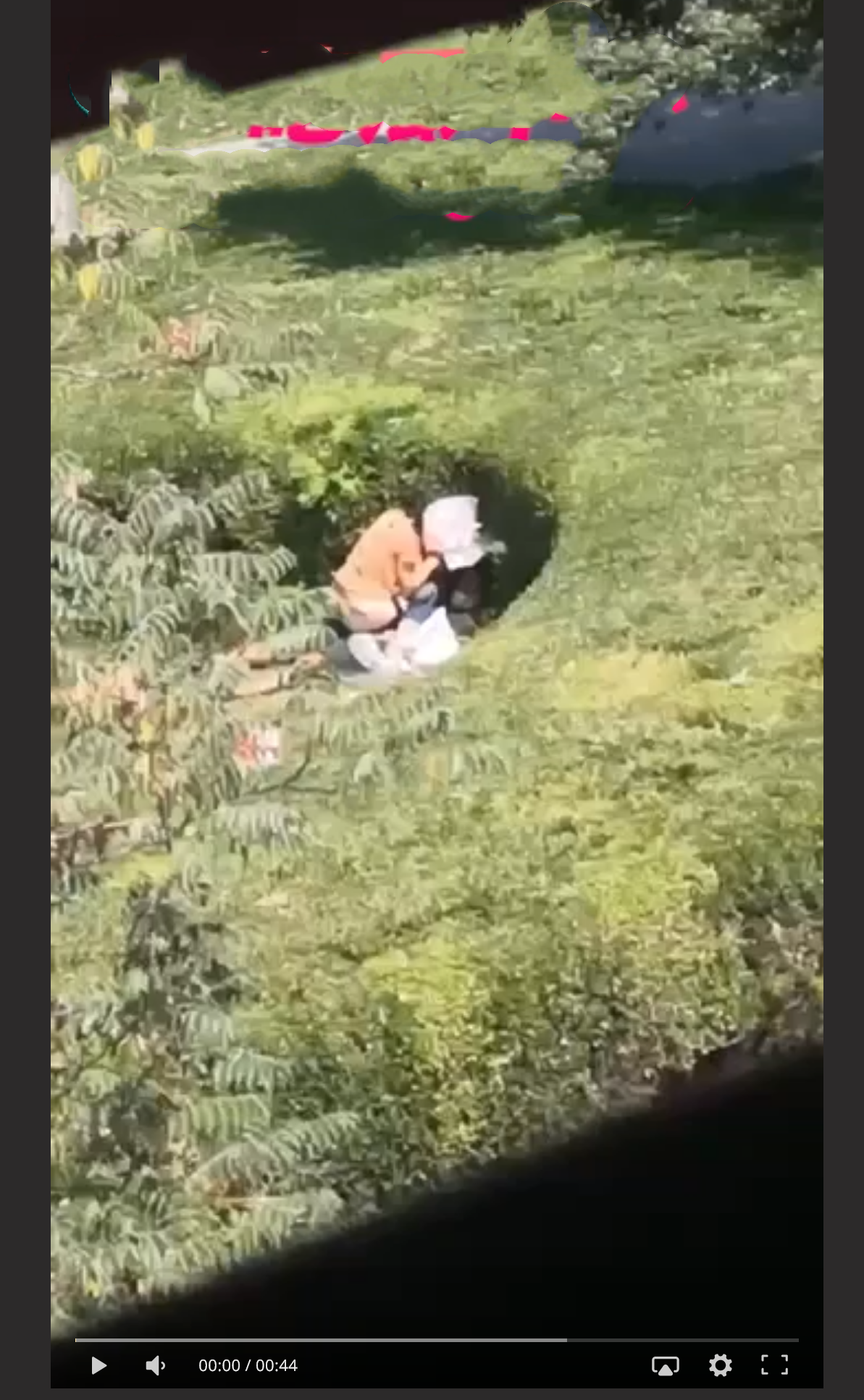辽宁庄河新天地广场草坪事件 情侣草丛做爱被全方位偷拍 “挡脸干嘛 B 都露了” - 截图7
