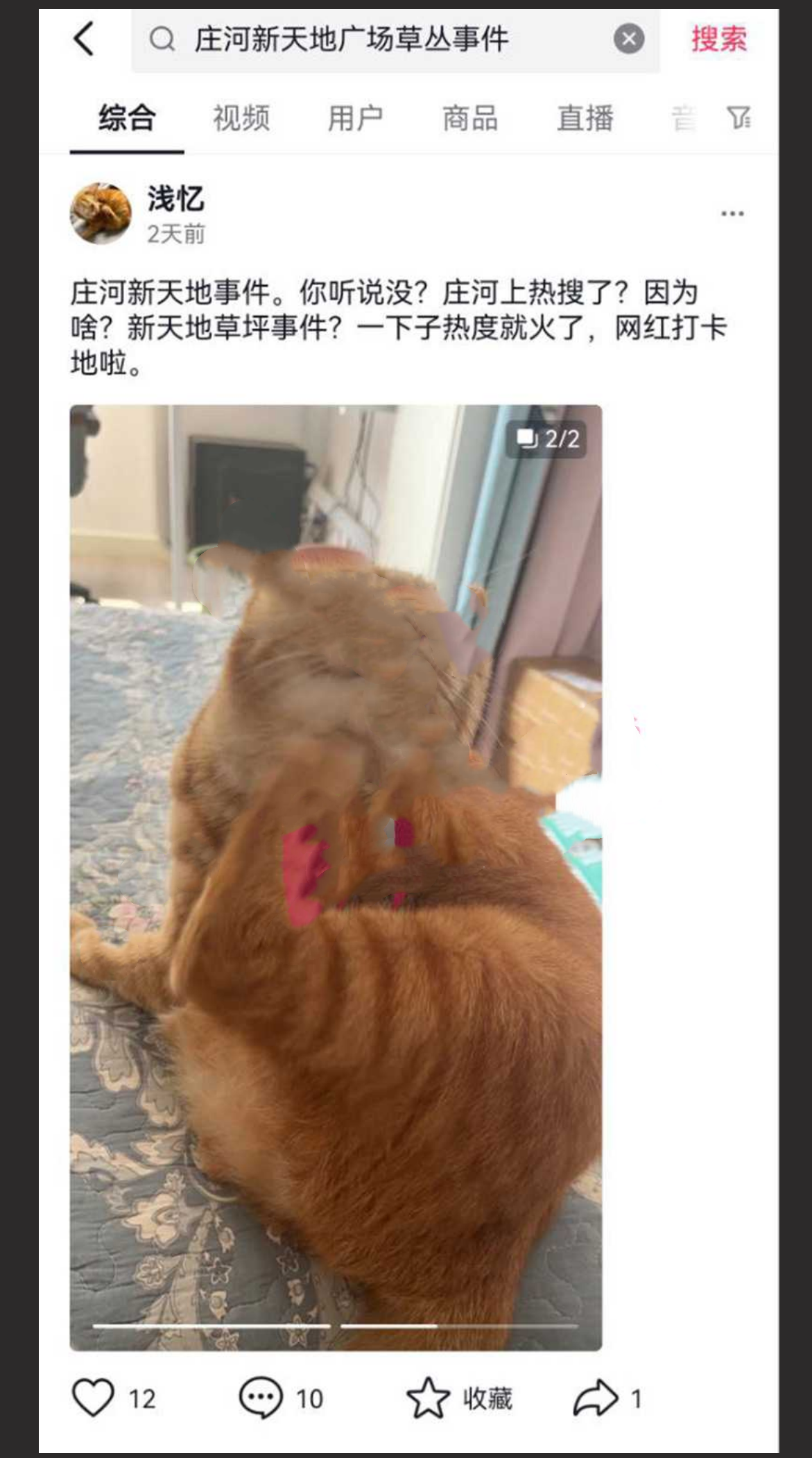 辽宁庄河新天地广场草坪事件 情侣草丛做爱被全方位偷拍 “挡脸干嘛 B 都露了” - 截图4