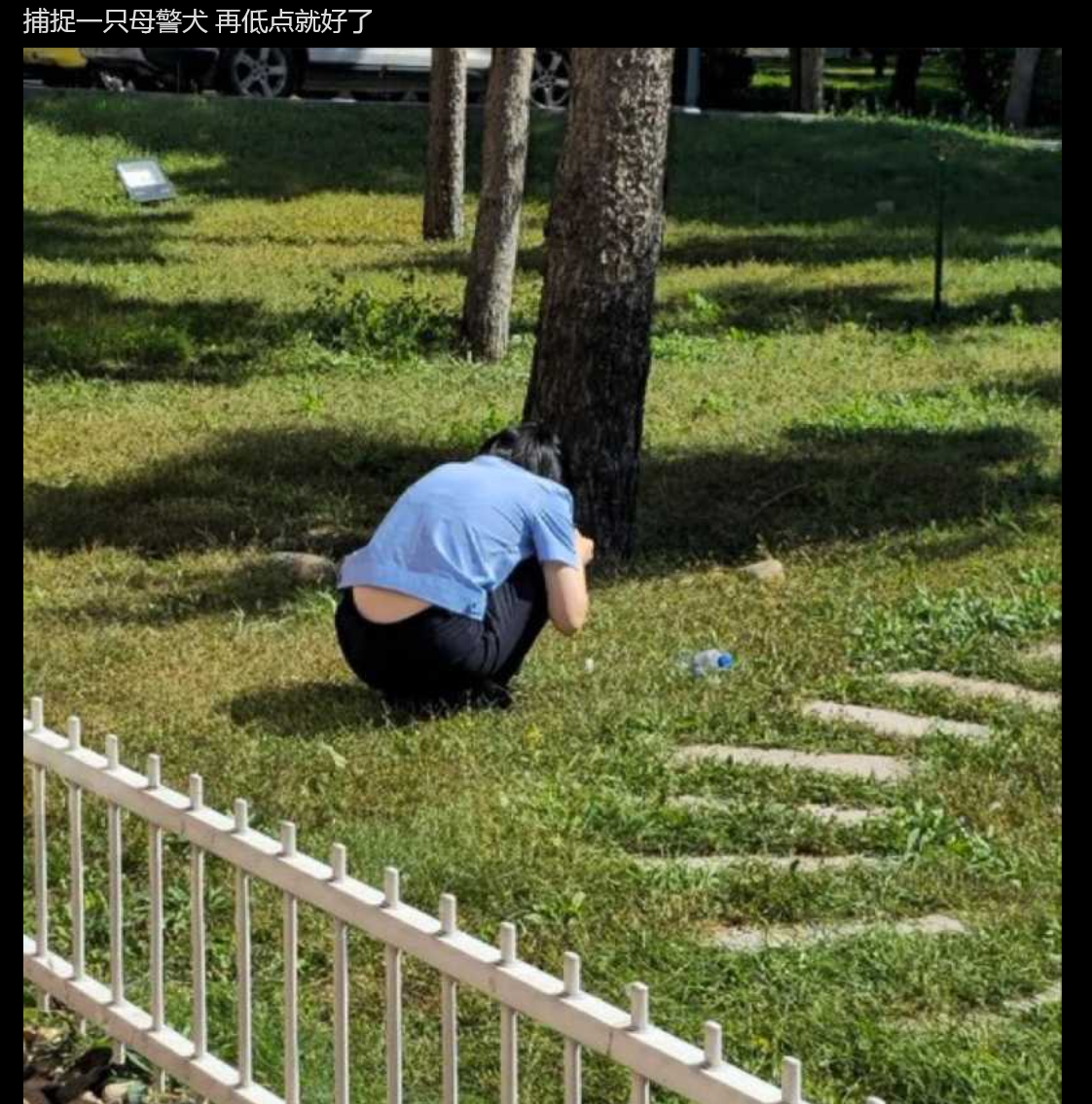 派出所淫魔!禽兽民警推特匿名发布大量和女警性爱视频 以及偷拍派出所内女警日常的照片视频 配文不堪入目 - 截图15