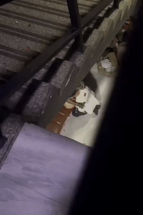 猎奇小情侣在楼梯间啪啪,男的太弱了没艹几下鸡巴就软了,给你机会不中用啊,放开她让我来! - 截图5
