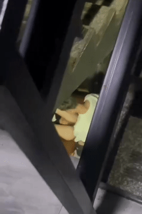 猎奇小情侣在楼梯间啪啪,男的太弱了没艹几下鸡巴就软了,给你机会不中用啊,放开她让我来! - 截图4