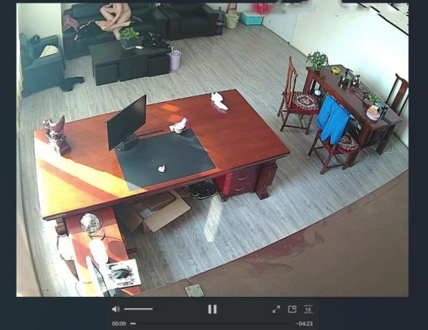 淫母小哥真实小王子历经两年成功上母,强上老妈萤石云摄像头视角,真实乱伦记录偷拍 - 截图12