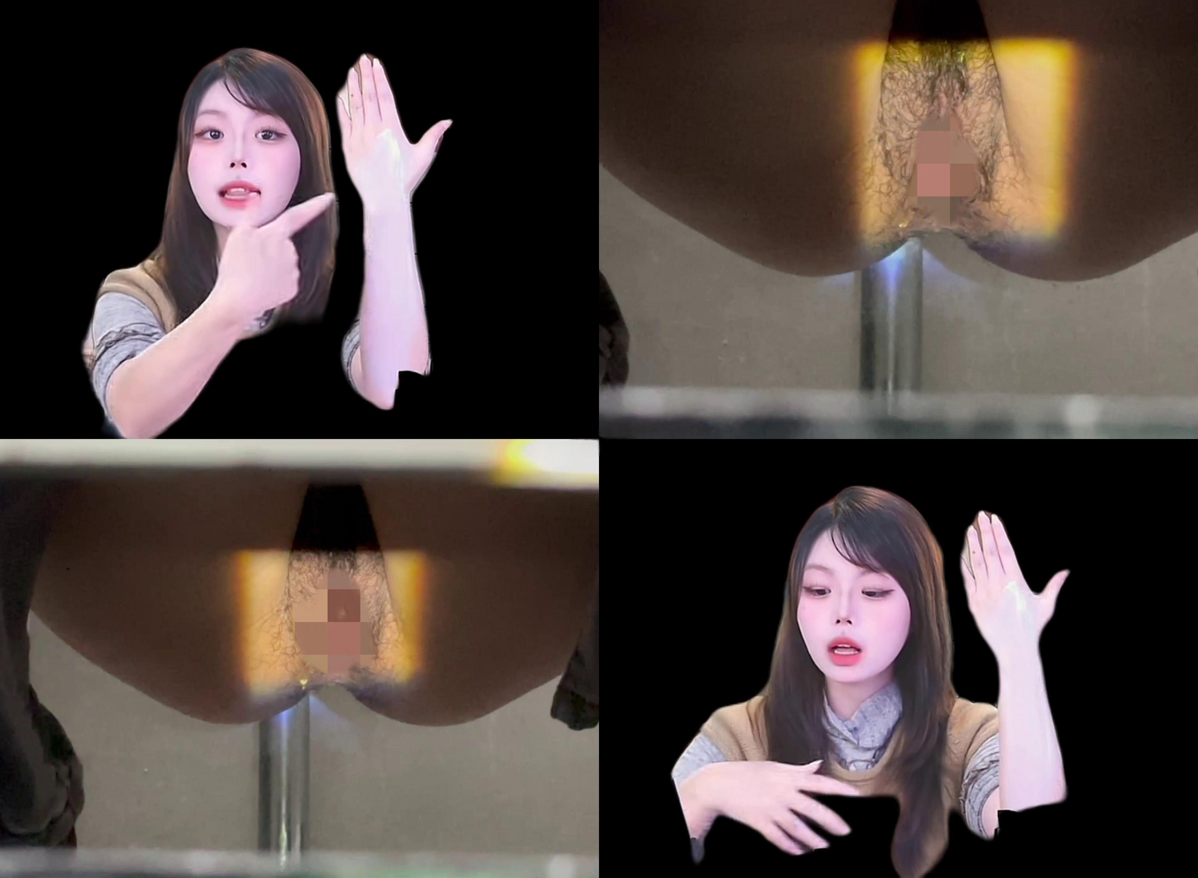 三月最新流出 厕拍大神手持闯拍商场女厕打灯偷拍手机对焦美女尿尿清晰展示鲍鱼菊花（66V)